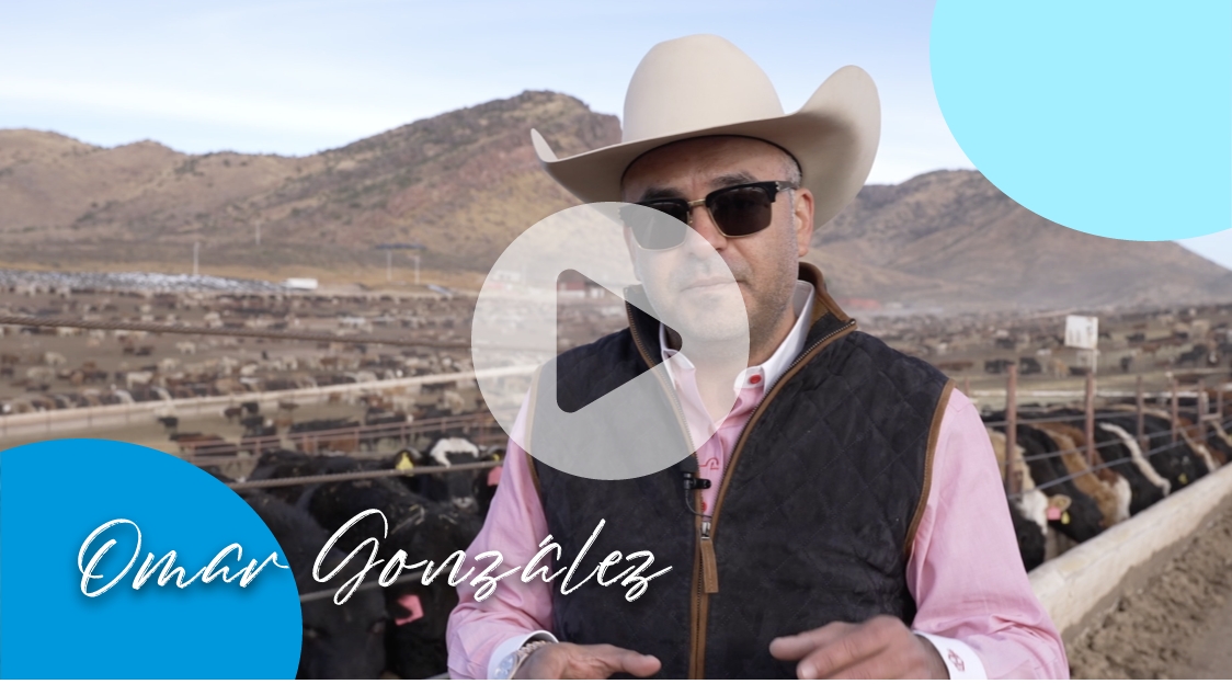 Ver video